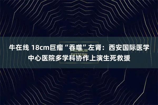 牛在线 18cm巨瘤“吞噬”左肾：西安国际医学中心医院多学科协作上演生死救援
