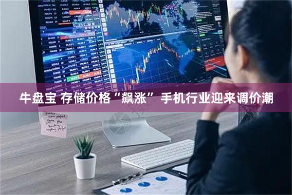 牛盘宝 存储价格“飙涨” 手机行业迎来调价潮