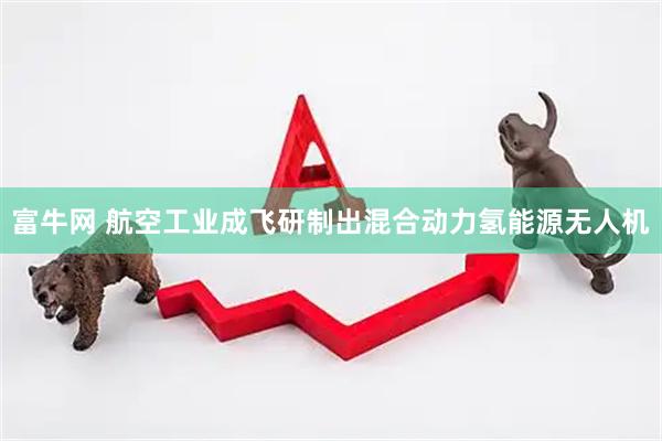 富牛网 航空工业成飞研制出混合动力氢能源无人机