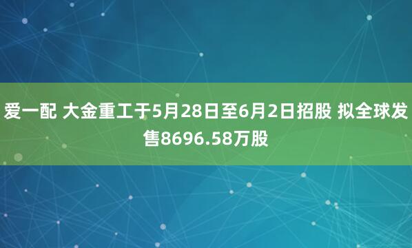 爱一配 大金重工于5月28日至6月2日招股 拟全球发售8696.58万股