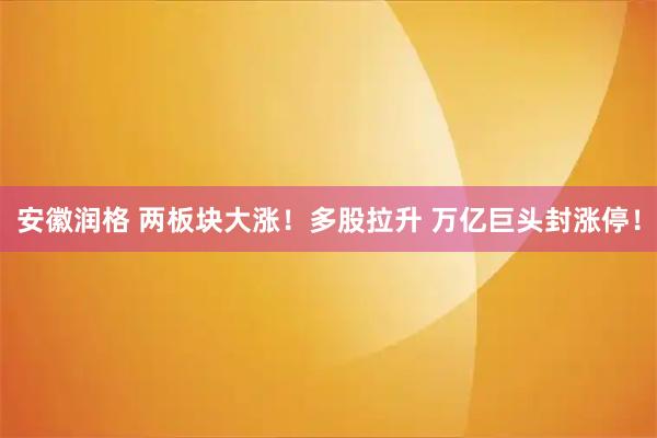 安徽润格 两板块大涨！多股拉升 万亿巨头封涨停！